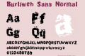 Burliweh Sans