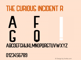 THE CURIOUS INCIDENT