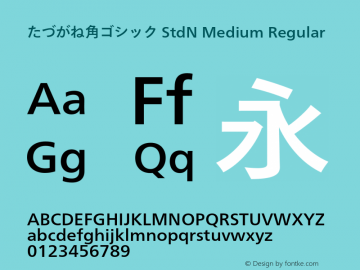 たづがね角ゴシック StdN Medium