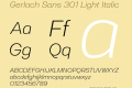 Gerlach Sans 301