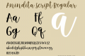 Anindita Script