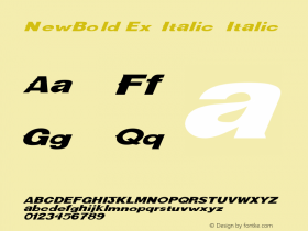 NewBold Ex Italic