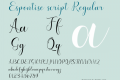 Espontise script