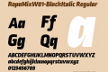 RopaMix-BlackItalic