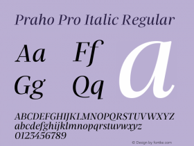 Praho Pro Italic