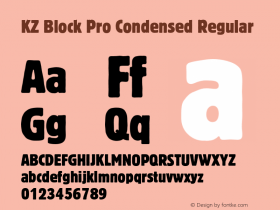 KZ Block Pro Condensed