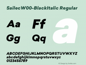 Sailec-BlackItalic