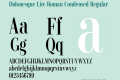 Didonesque Lite Roman Condensed