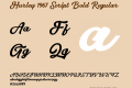 Hurley 1967 Script Bold