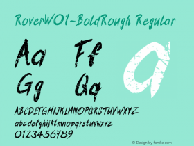 Rover-BoldRough