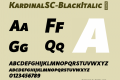 KardinalSC-BlackItalic