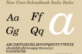 New Cent Schoolbook Italic