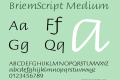 BriemScript