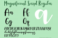 Magnificient Script