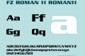 FZ ROMAN 11