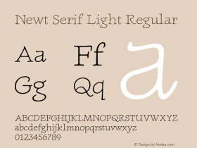 Newt Serif Light