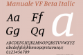 Manuale VF