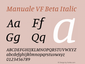 Manuale VF