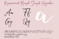 Experiment Brush Script