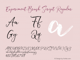 Experiment Brush Script