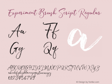 Experiment Brush Script