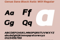 Genua Sans Black Italic