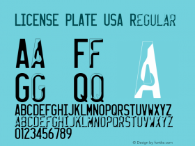 LICENSE PLATE USA