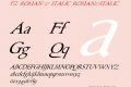 FZ ROMAN 17 ITALIC