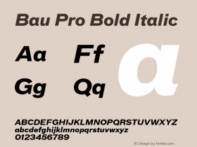 Bau Pro