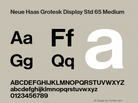 Neue Haas Grotesk Display Std