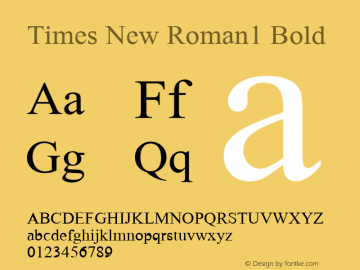 Times New Roman1