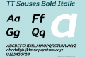 ☞TT Souses Bold Italic