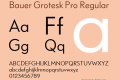 Bauer Grotesk Pro