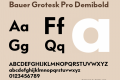 Bauer Grotesk Pro