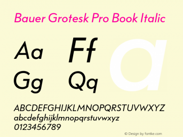 Bauer Grotesk Pro