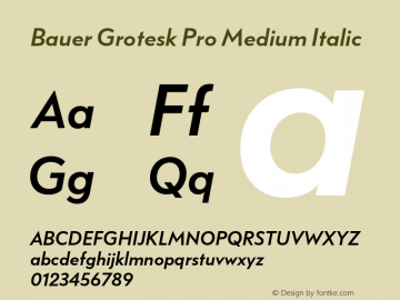 Bauer Grotesk Pro