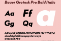 Bauer Grotesk Pro