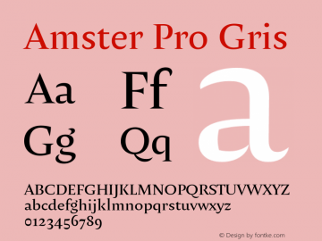 Amster Pro