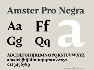 Amster Pro