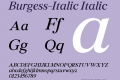 Burgess-Italic