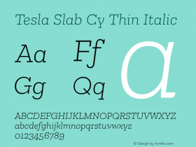 Tesla Slab Cy