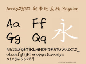 SentyZHAO 新蒂赵孟頫