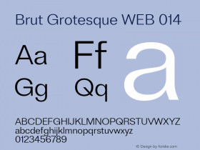 Brut Grotesque WEB