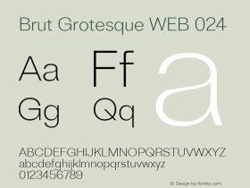 Brut Grotesque WEB