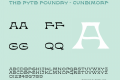 The Pyte Foundry -