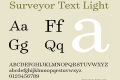 Surveyor Text