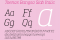 Toenas Bangsa Slab