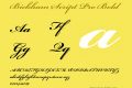 Bickham Script Pro