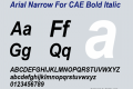 Arial Narrow For CAE