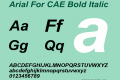 Arial For CAE